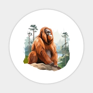 Orangutans Magnet